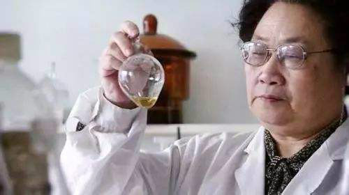 磨砺半个世纪：青蒿素成为中国献给世界的礼物|科技创新70年·历程