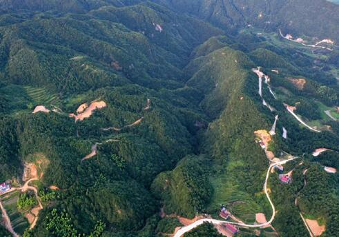岳西县巍岭乡：山沟里趟出致富路
