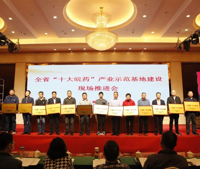 安徽“十大皖药”产业示范基地授牌！