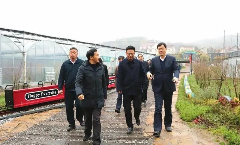 共享庐江发展机遇，加强地企深度合作！