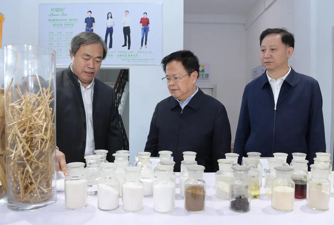 省委书记郑栅洁：切实把招商引资摆在当前工作的突出位置