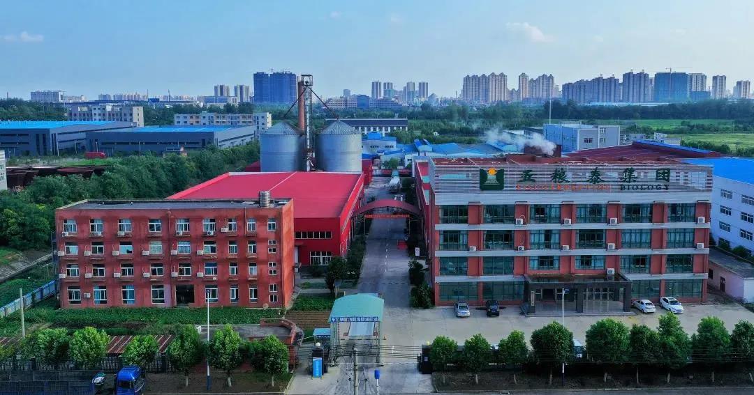 又一家皖企IPO获得受理！实控人“90后”！