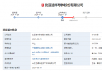突发！比亚迪半导体中止上市审核！